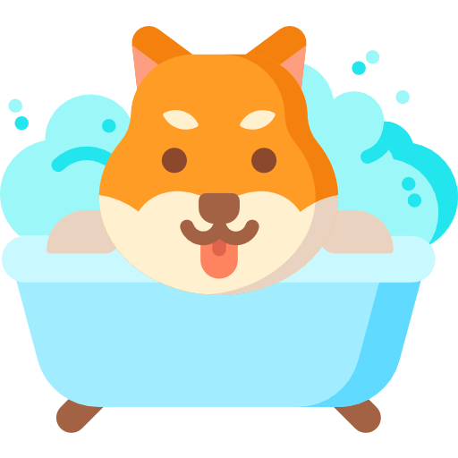 imagem de cachorro tomando ducha